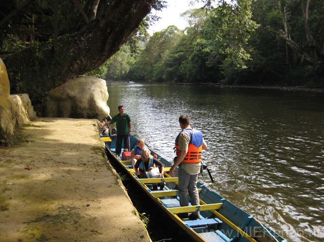 20120921093829 (JoLo) - Brunei - Ulu Temburong NP