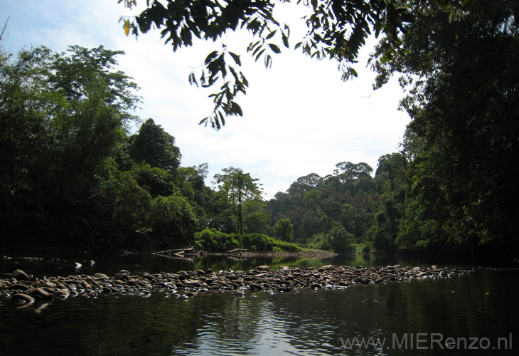 20120921094435 (Mier) - Brunei - Ulu Temburong NP