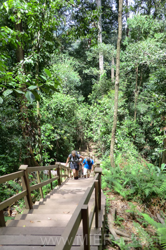 20120921105532 (San) - Brunei - Flink trappen lopen