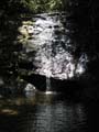 20120921130303 (Mier) - Brunei - Ulu Temburong NP