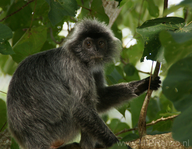 20120924101553 (Mier) - Kuching - Bako NP