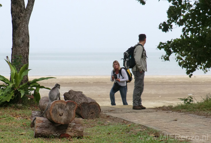 20120924101821 (San) - Kuching - Bako NP aap poseert!