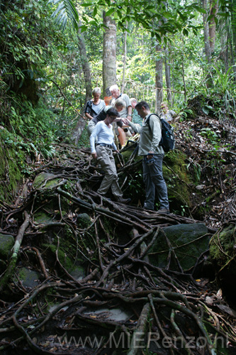 20120924110049 (Mier) - Kuching - Bako NP