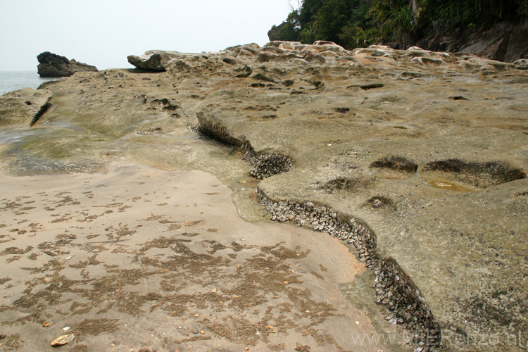 20120924113657 (Mier) - Kuching - Bako NP