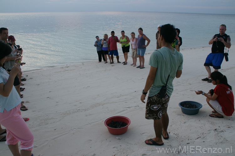 20121001174639 (Mier) - Lankayan - Turtle release