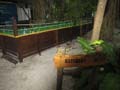 20121002171355 (Mier) - Lankayan - Turtle release