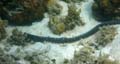 20121004152038 (Mier) - Lankayan