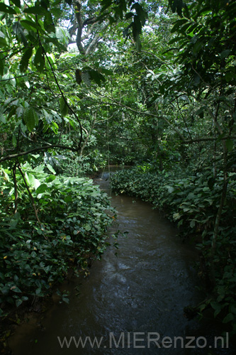 20091110134701 Ghana - Wli-watervallen