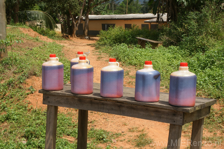 20091112111317 Ghana - Palmolie