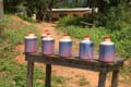 20091112111317 Ghana - Palmolie