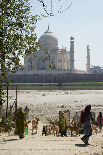 20130303124447 Mier - Agra - Taj Mahal