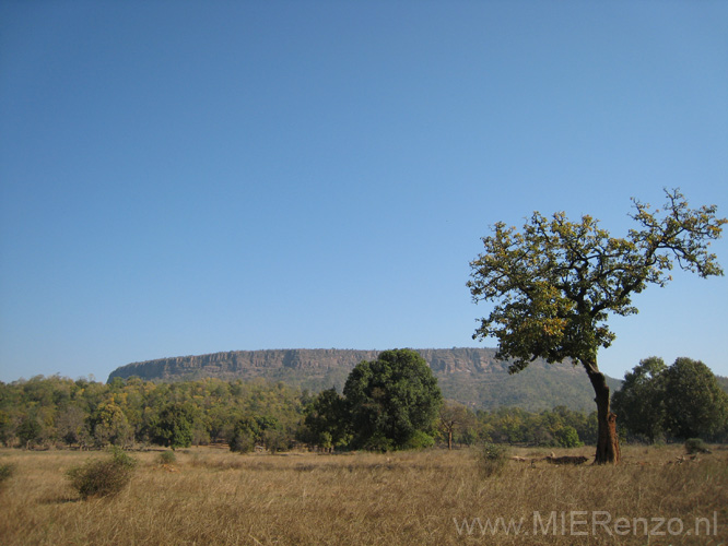 20130309090003 Mier - Bandhavgarh NP