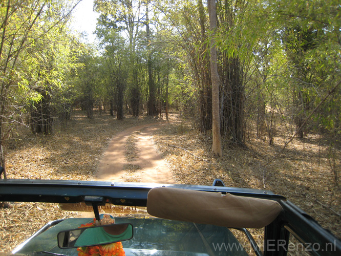 20130309151358 Mier - Bandhavgarh NP