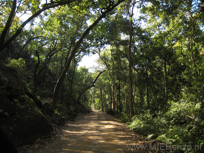 20130310093346 Mier - Bandhavgarh NP