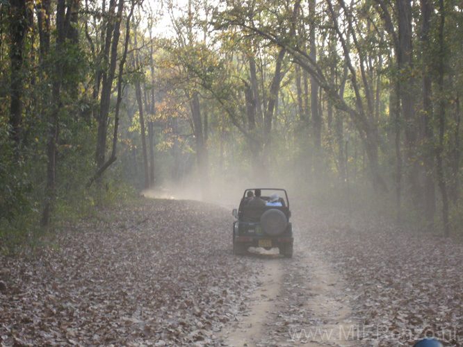 20130312170606 Mier - Kanha NP