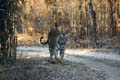 20130308070326 Mier - Bandhavgarh NP