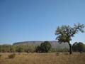 20130309090003 Mier - Bandhavgarh NP