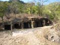 20130310085639 Mier - Bandhavgarh NP