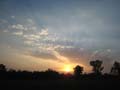 20130312175006 Mier - Kanha NP