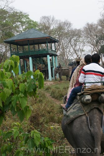 20130315061243 Mier - Kaziranga NP