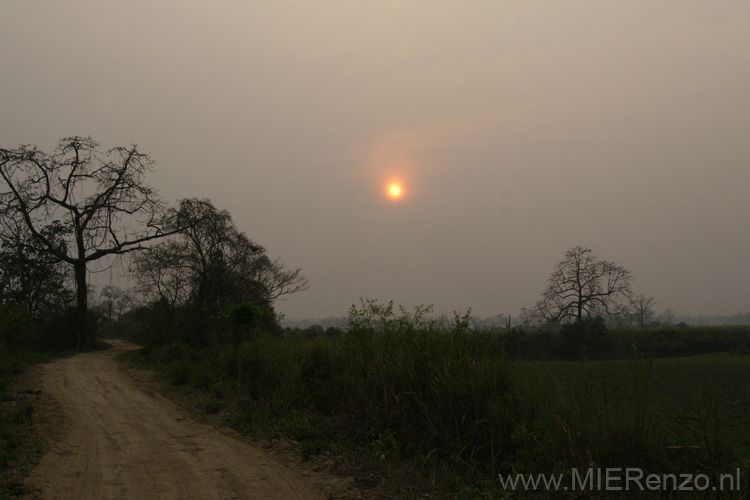 20130315164513 Mier - Kaziranga NP