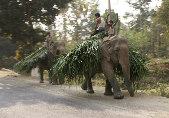 20130316141139 Mier - Kaziranga NP