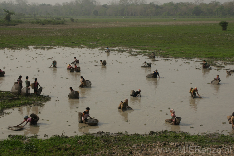 20130316142144 Mier - Kaziranga NP