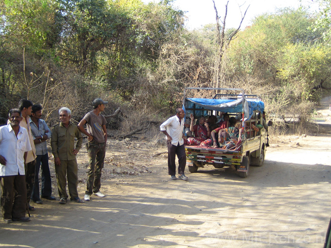 20130319092703 Ma - Sasan Gir NP