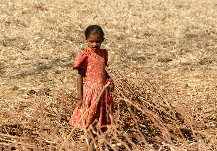 20130319094251 Mier - Sasan Gir NP