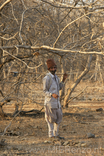 20130319181942 Mier - Sasan Gir NP