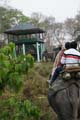 20130315061243 Mier - Kaziranga NP