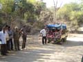 20130319092703 Ma - Sasan Gir NP