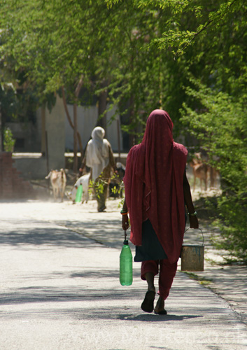 20130303124219 Mier - Agra straatbeeld