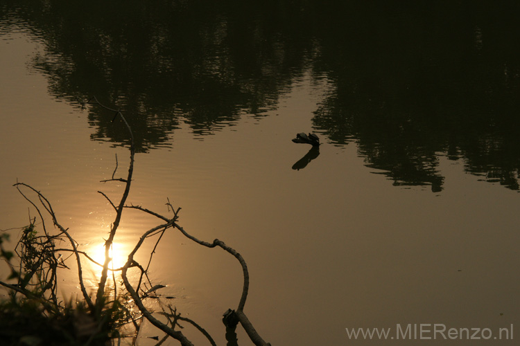 20130315155555 Mier - Kaziranga NP