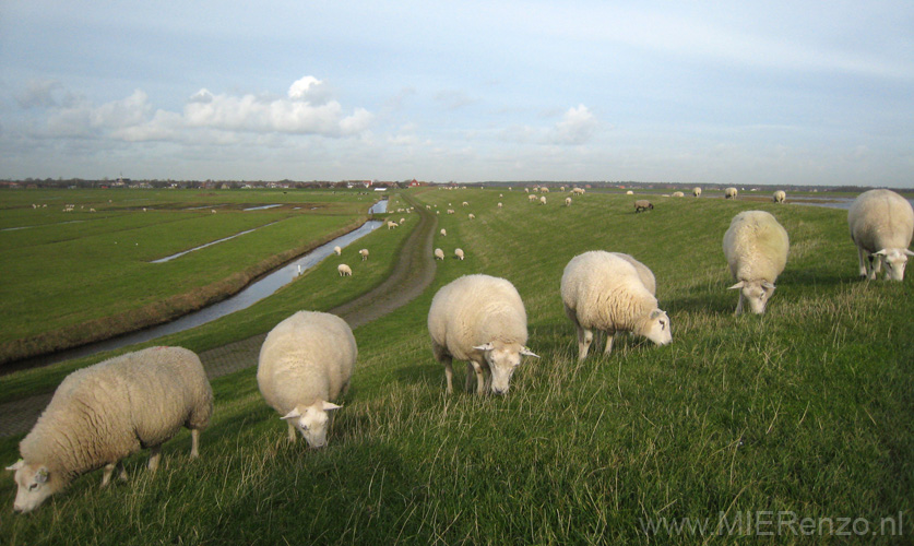 20131108114228 Terschelling