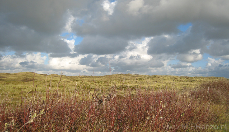 20131109104247 Terschelling