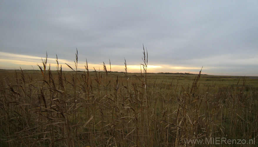 20131111123214 Terschelling