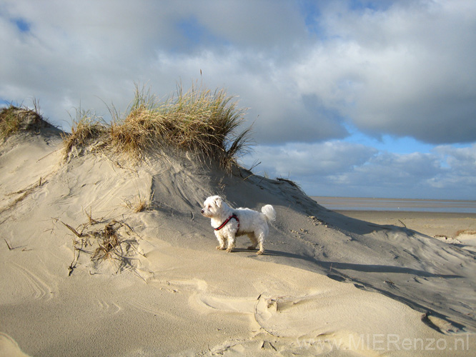 20131113111336 Terschelling