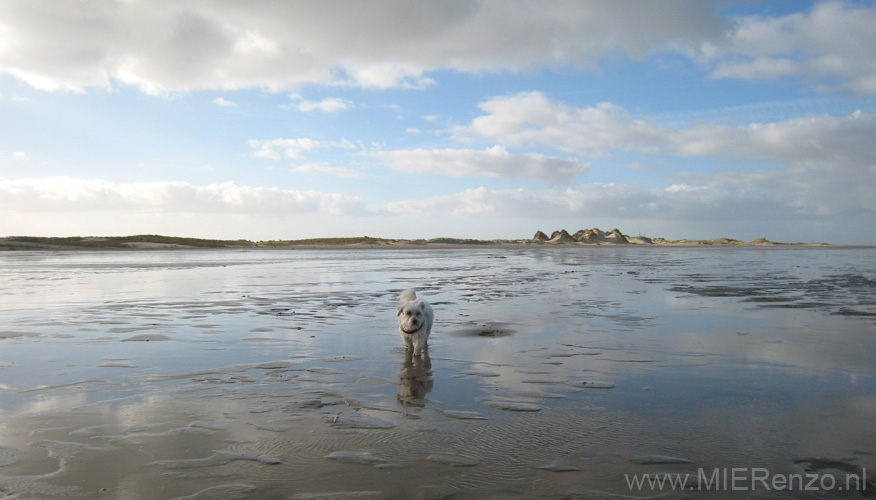 20131113112831 Terschelling