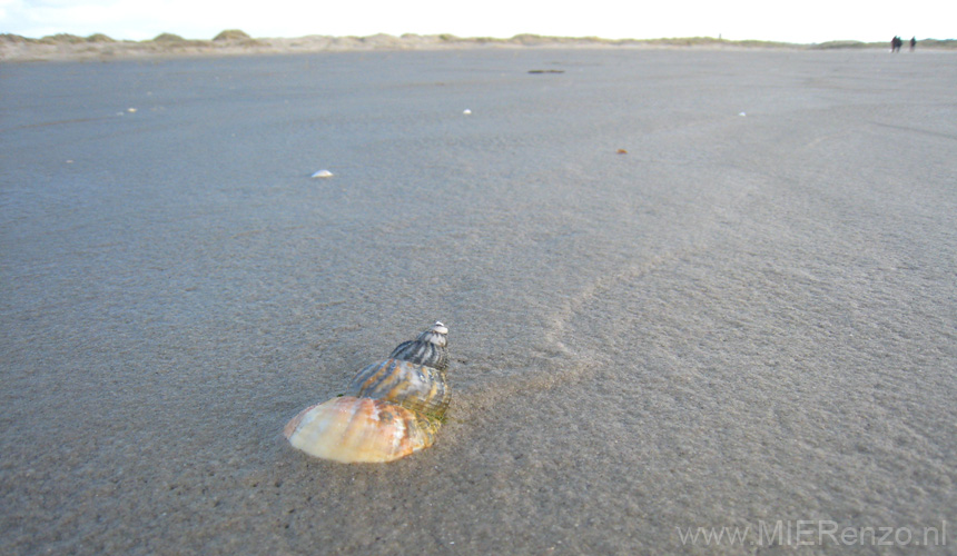 20131113113453 Terschelling