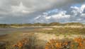 20131109104332 Terschelling