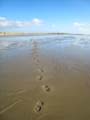 20131113110712 Terschelling