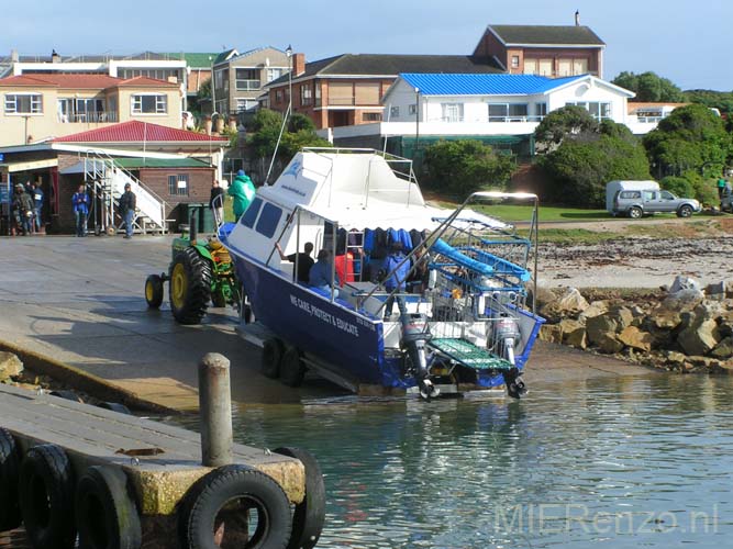 20070923 C (47d) K&T Gansbaai - Kooiduiken met witte haaien