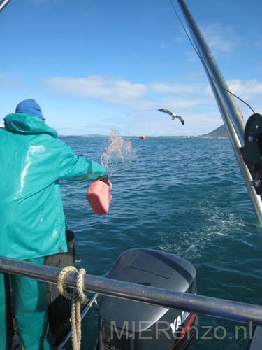 20070924 A (15) Gansbaai - Haaien lokken met vies prutje!