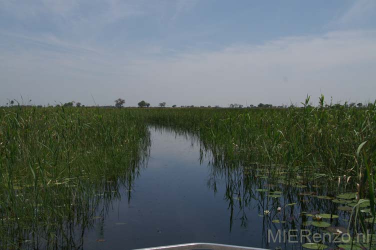 20071007 B (50) Okavango Delta