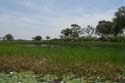 20071007 B (54) Okavango Delta