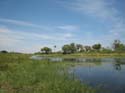 20071007 B (86) Okavango Delta