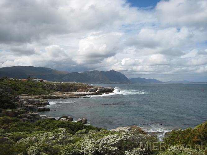 20070923 A (28) Hermanus