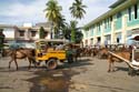 20070514 sunda A (33) Lombok - Dagje rondrijden - Markt - het parkeerterrein