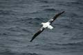 20081230 (11) Drake Passage